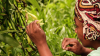 Meet RCS Global Group at the ILO Child Labour Platform Annual Meeting
