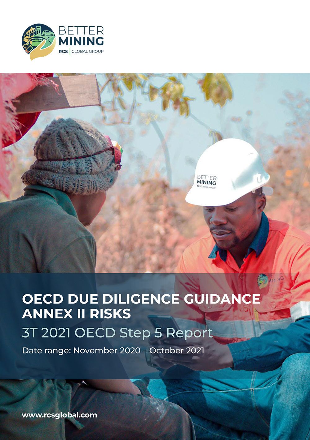 OECD Due Diligence Guidance Annex II Risks