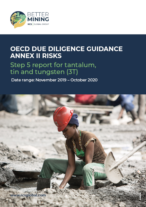 OECD Due Diligence Guidance Annex II Risks
